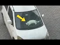 Download Lagu She was locked inside a car, tried to charm passersby but no one noticed.
