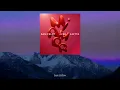 Sam Feldt - Mi Amor (with JVKE & Anitta) (Lyrics)