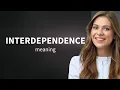 Interdependence meaning of INTERDEPENDENCE