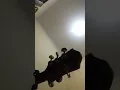 Download Lagu TYOK SATRIO - ADA UNTUKMU cover Mas jembrut . Genggamlah tanganku bersamaku kau kan menentukan arah