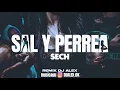 SAL Y PERREA (REMIX) SECH, DJ ALEX