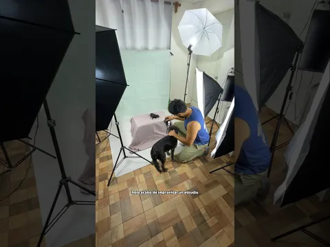 le hice fotos a los recién nacidos 🐶❤️🥹