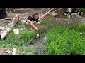 Download Lagu CUMA MANCING BELUT SAWAH‼️TAPI KOK ADA BELUT SAWAH SEBESAR INI