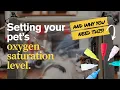Is Your Pet s Oxygen Chamber Safe Why Ventilation the Venturi System Matter