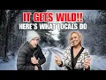 The TRUTH About Colorado Springs Weather How It Affects Your Home