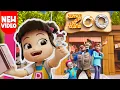 Download Lagu Papa Pipi di ZOO! | Sticku | #PapaPipi