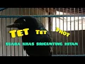 SUARA BURUNG SRIGUNTING HITAM GACOR