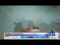 Mississippi farmers sell cattle due to drought