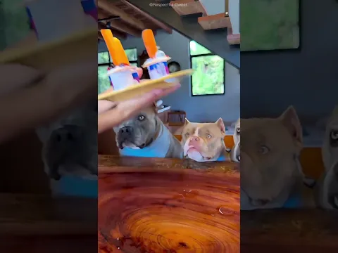 He Made Ice Cream for His 3 Dogs! 🐶🍦❤️