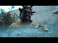 Kodak Black ft. Boosie Badazz "Slayed" (Music Video)