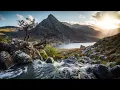 Paashee - Тебе це не стосується