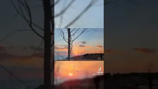 وردة الجزائرية مين ده اللي ياخدني منك 