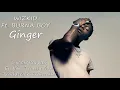 WizKid - Ginger ft. Burna Boy Lyrics/Translation/Paroles/Traduction