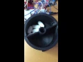 Arduino Pill Dispenser - 1