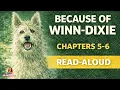 Because of Winn-Dixie Read Aloud Chapters 5 6 Kate DiCamillo 4th 5th Grade Novel Study
