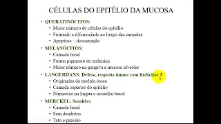 VÍDEO AULA DA BOCA PARTE 1   HISTOLOGIA DA CAVIDADE ORAL