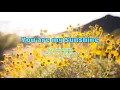 YOU ARE MY SUNSHINE  | by THE MOFFATTS  [ 1 HOUR LOOP ] nonstop