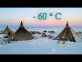 Download Lagu North Nomads leven in de winter. Oeralgebergte en toendraleven. Rusland. Volledige film.