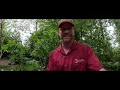Which Mulch Is Best