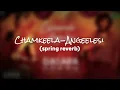 Chamkeela Angeelesi _ Dasara _ Ram miriyala _ remix (LOFI) #dasara