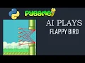Flappy Bird AI with NEAT Python PyGame