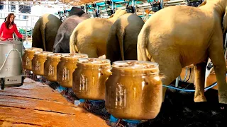 سوف تنصدم عند معرفة كيف تصنع المنتجات الاغلى ثمنا حول العالم 