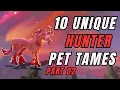 10 Unique Hunter Pet Tames 4k World of Warcraft Dragonflight