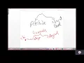How to use PSPP in data analysis of a project