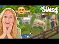 Download Lagu Mega WEILAND van mijn Sims PAARDEN MANEGE bouwen! 🤩🐴