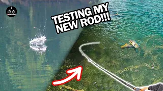 TOP WATER ACTION On New 2021 Storm Discovery Rod Temensis Peacock Bass Fishing - EP51