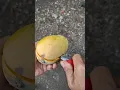 Download Lagu Buah Mangga tetangga jatuh ke halaman rumah 😱 #shorts #visitani