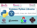 Common Python Libraries - NumPy Arrays