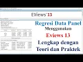 Panel Data Regression Ereviews 13 Complete with Theory and Practice