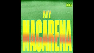 deejay zebra the moments piano vibe ayy macarena tyga vox 