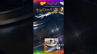 ليالينا وردة الجزائرية  ليالينا وردة الجزائرية