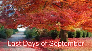 Last Days Of September Beautiful Fall Leaves Changing Colors 