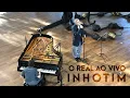 Download Lagu Arnaldo Antunes - O Real Ao Vivo [Inhotim em Cena 2021]