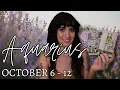 Download Lagu AQUARIUS ♒ They Can't Stand It Anymore - Reaching Out WIth An Apology! Tarot Reading