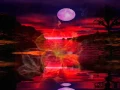 Gary Wright - DREAMWEAVER Extended