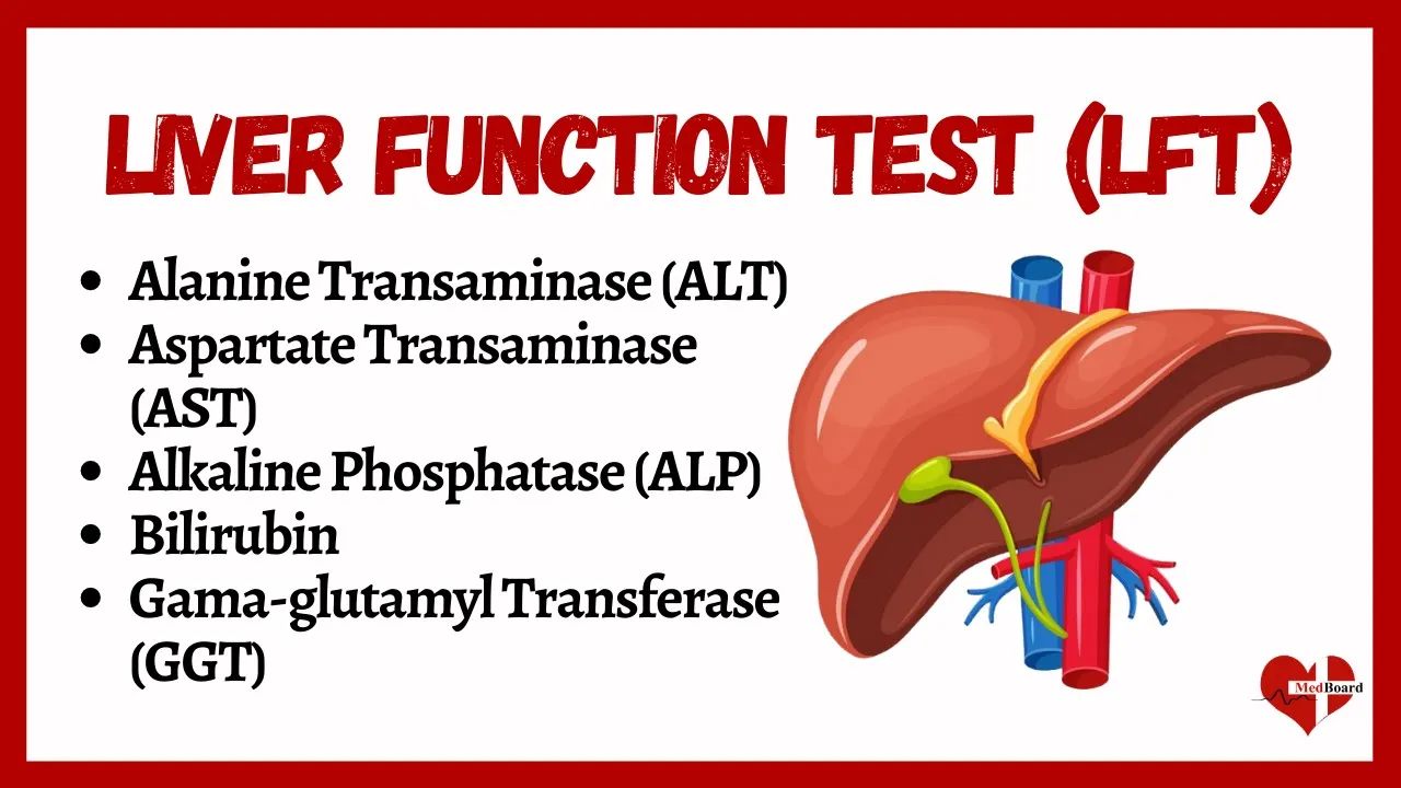 Liver Function Tests (LFTs) | liver function test interpretation | Animation | Multi-Languages |