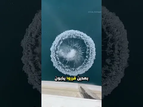 توقعوا موجة.. بس صار شي أغرب!!