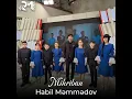 Mihriban - Habil Memmedov