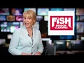 Mistakes to Avoid When Cleaning Your Windows - From the Experts at Fish Window Cleaning