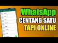 Download Lagu Gimana Caranya Supaya WA Tidak Terlihat Online | Cara Wa Ceklis 1 Padahal Online