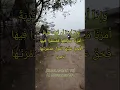 Download Lagu [Surat Al-Isra': 16] H. Muammar ZA#qori #tilawatilquran #suaramerdu #muammarza #ngajilagu