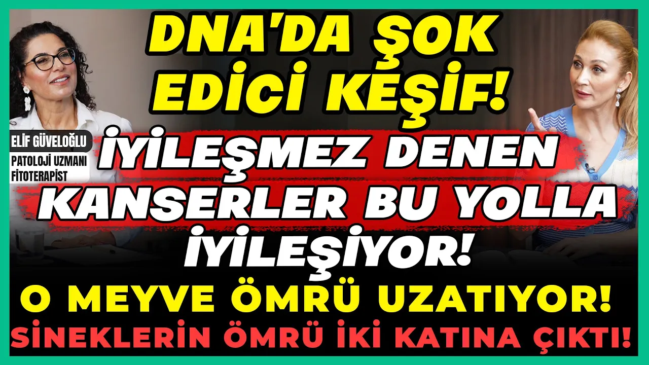DNA'da ŞOK Edici Keşif! İyileşmez Denen Kanserler Bu Yolla İyileşiyor! O Meyve Ömrü Uzatıyor!