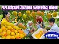 Download Lagu WAKTUNYA PANEN SEMUA BUAH PEACH YANG ADA DISAMPING RUMAH, WAOW HASILNYA BAGUS DAN MAU DIAPAIN YA❓