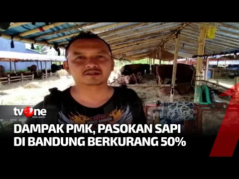 Pasokan Hewan Sapi di Bandung Berkurang, karena Dampak Wabah PMK