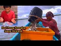 Lagu Rejeki Melimpah!! Panen Udang Jutaan Rupiah Diutara Pulau NUSAKAMBANGAN