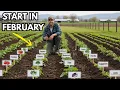 Lagu 10 Seeds You Must Start in February to Harvest 3x More by summer